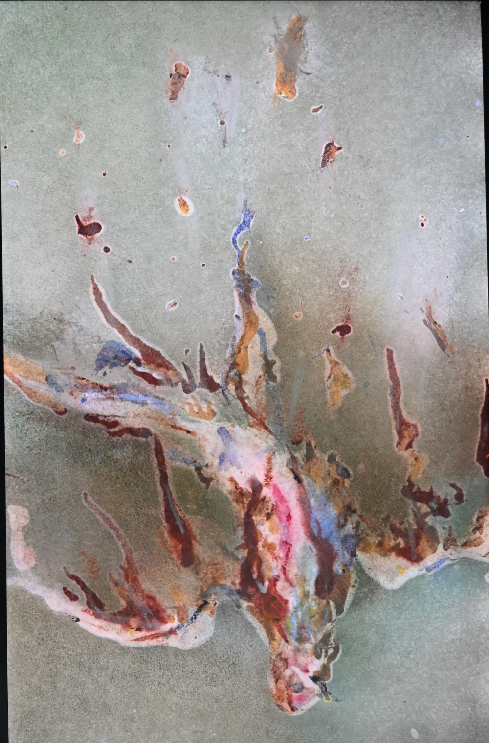 Jagdbeute #6 hinterleuchtet